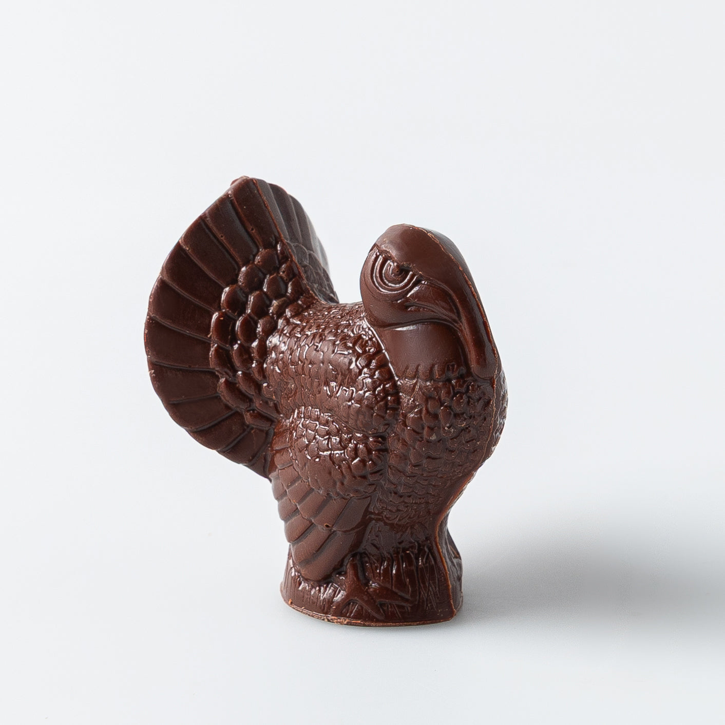 Solid Chocolate Turkey