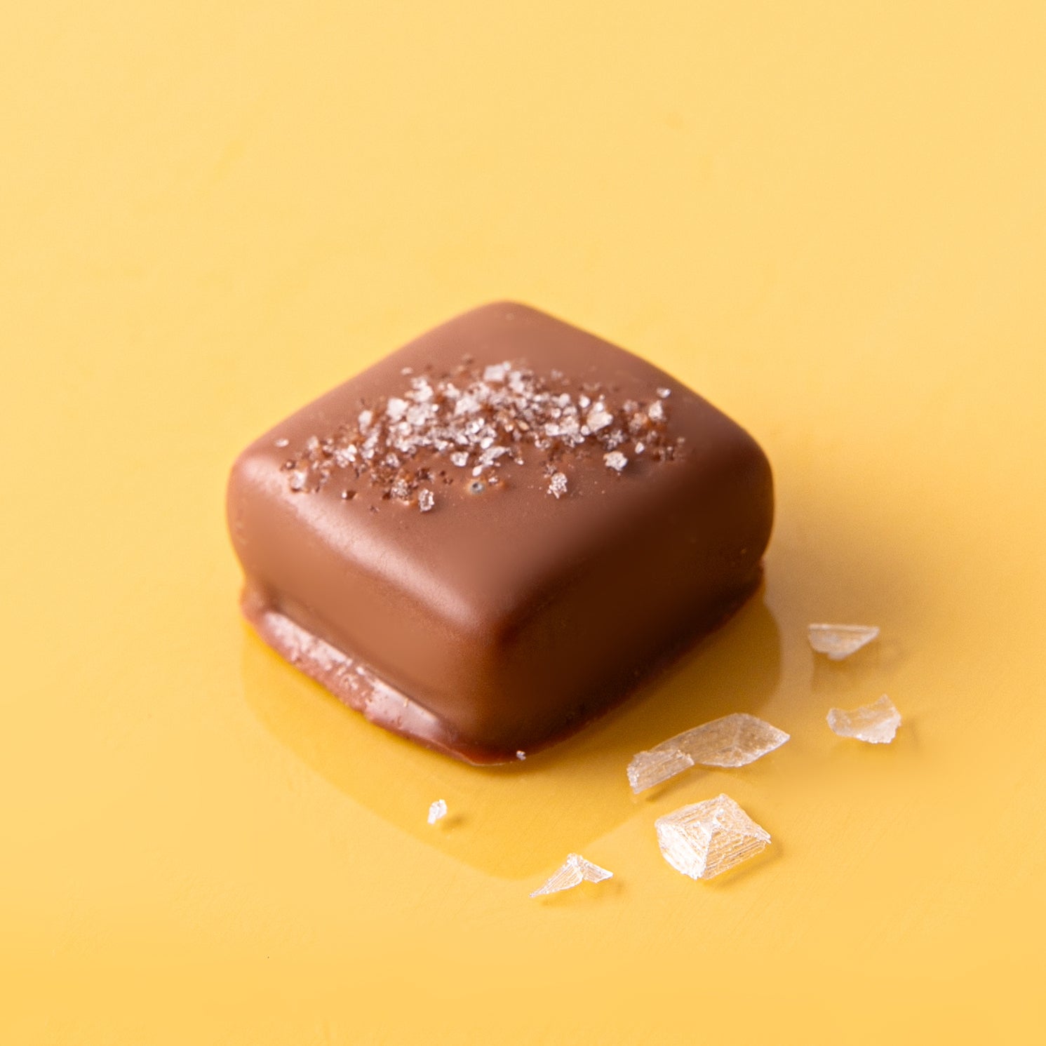Chocolate Caramels