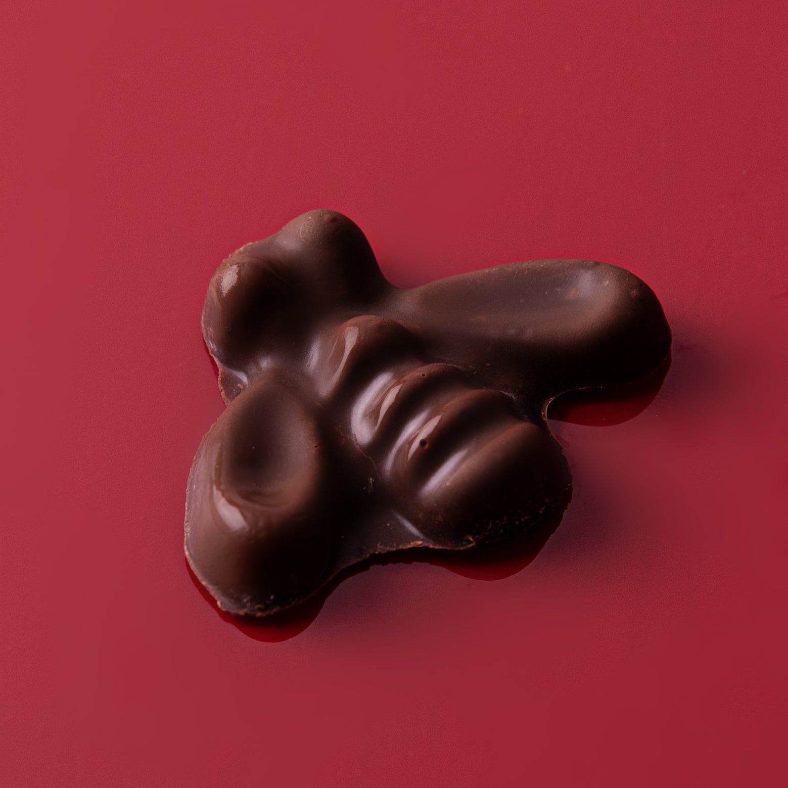 Honeybee Praline