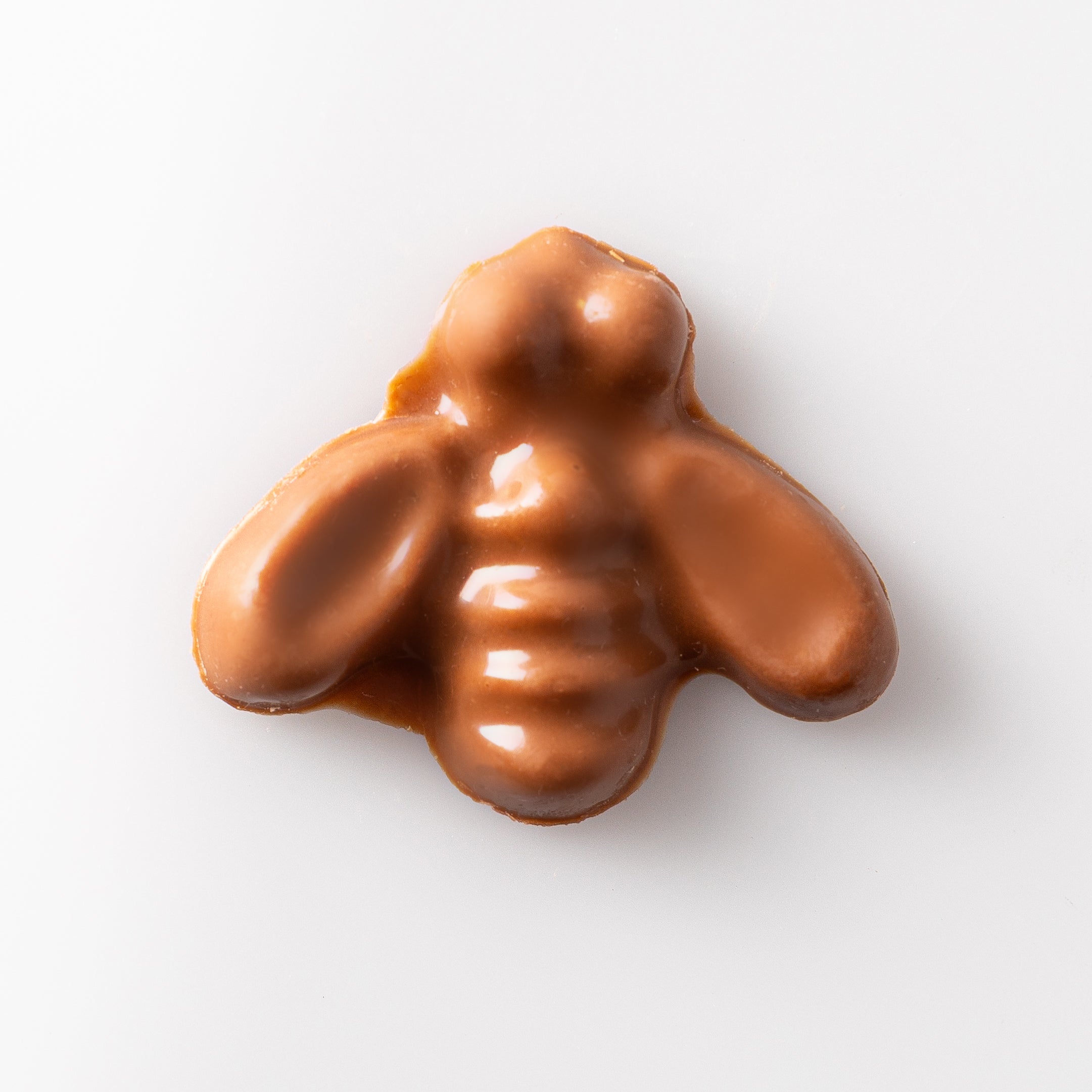 Honeybee Praline
