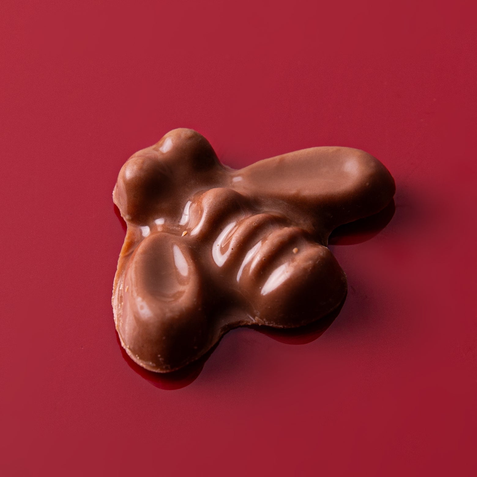Honeybee Praline