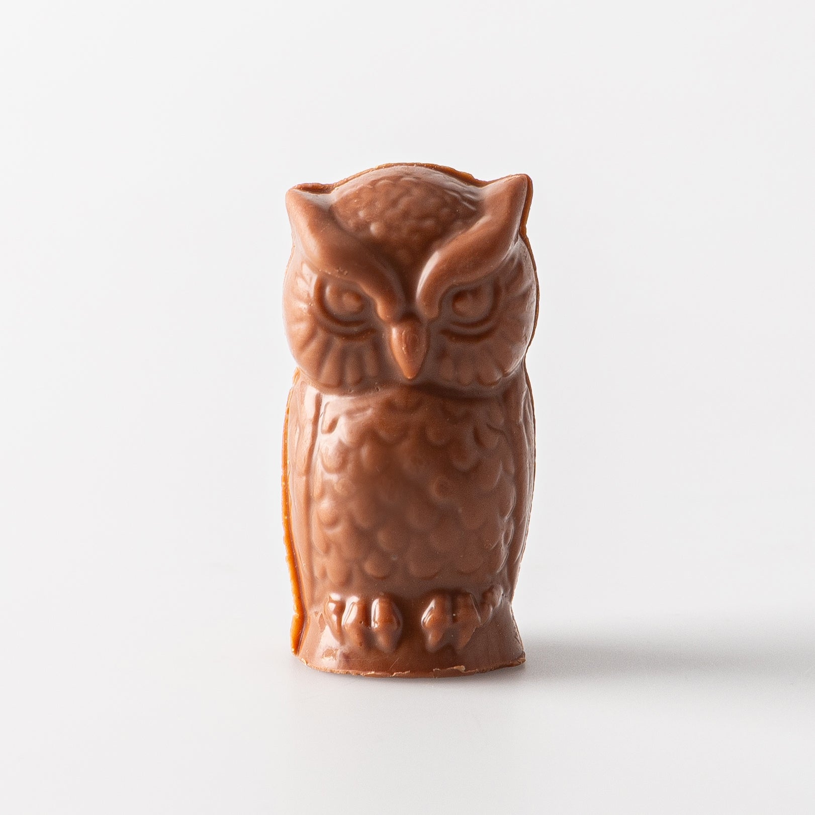 Milk Chocolate Owl