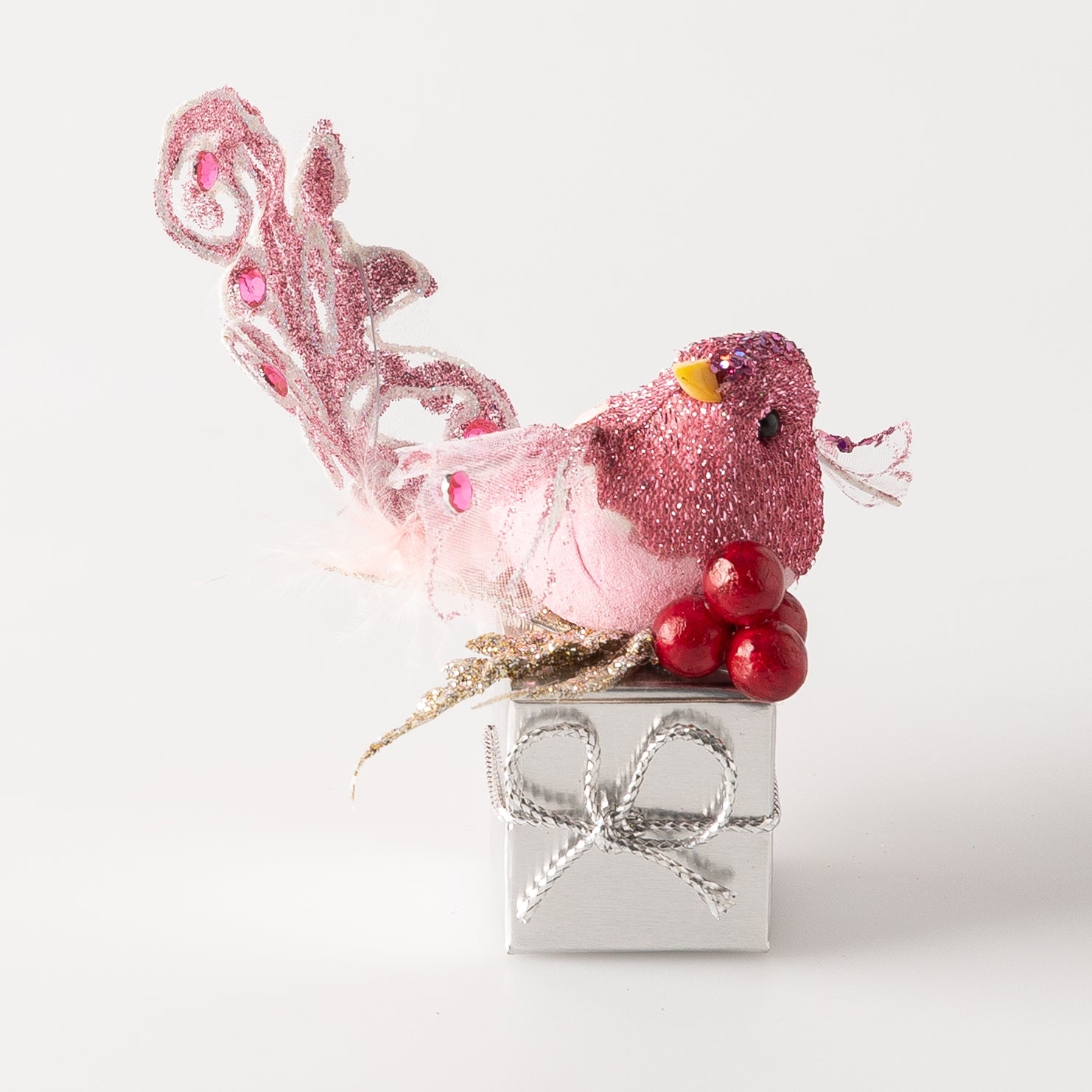 Bird Fantasy Box (1 Truffle)