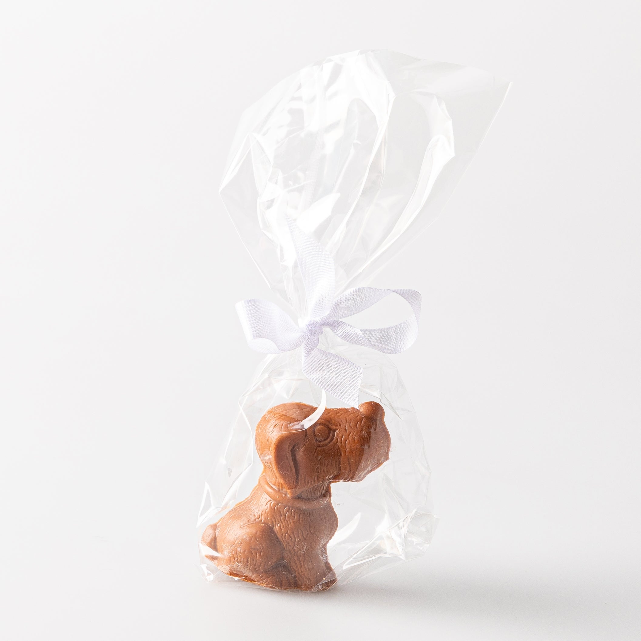 Chocolate Dog