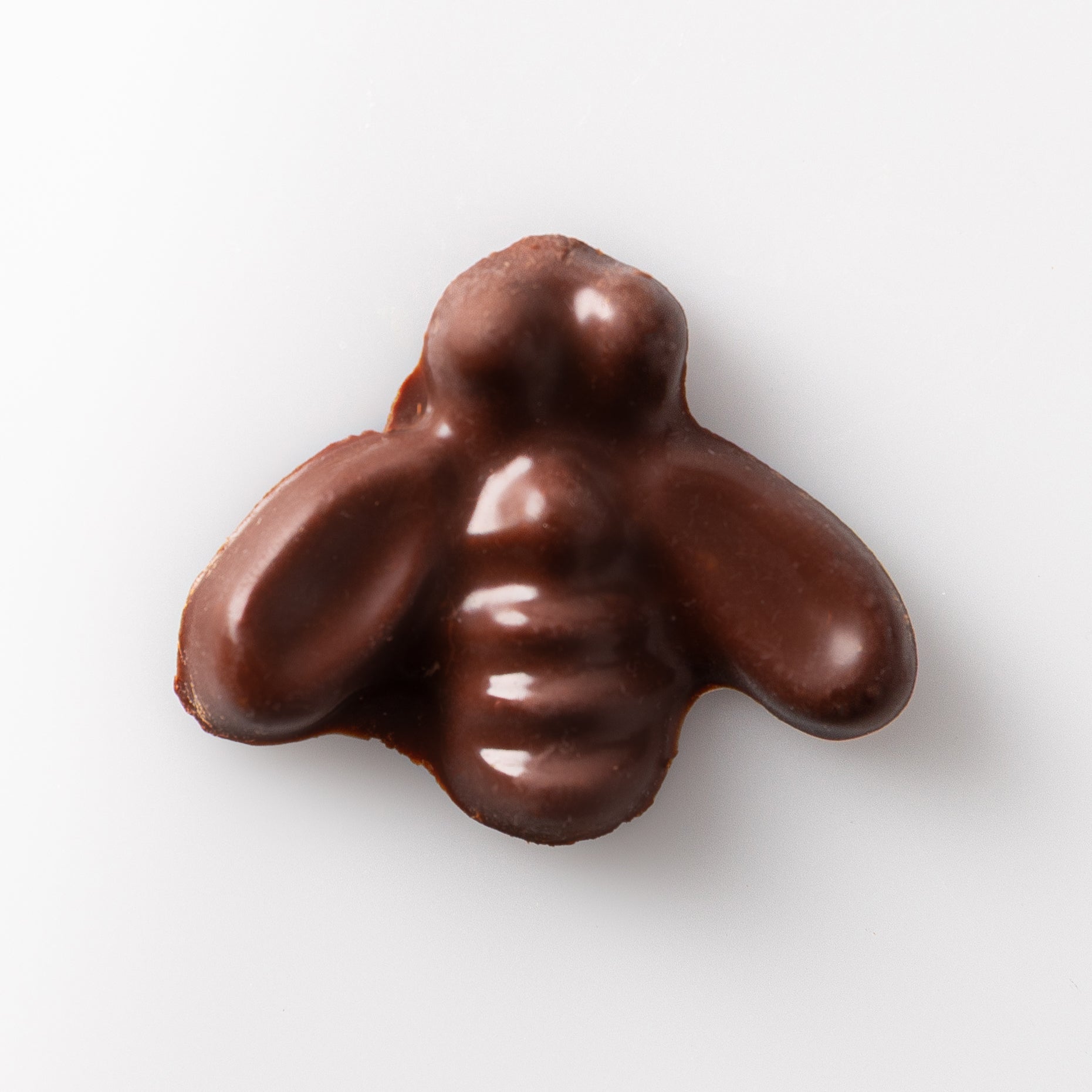 Honeybee Praline