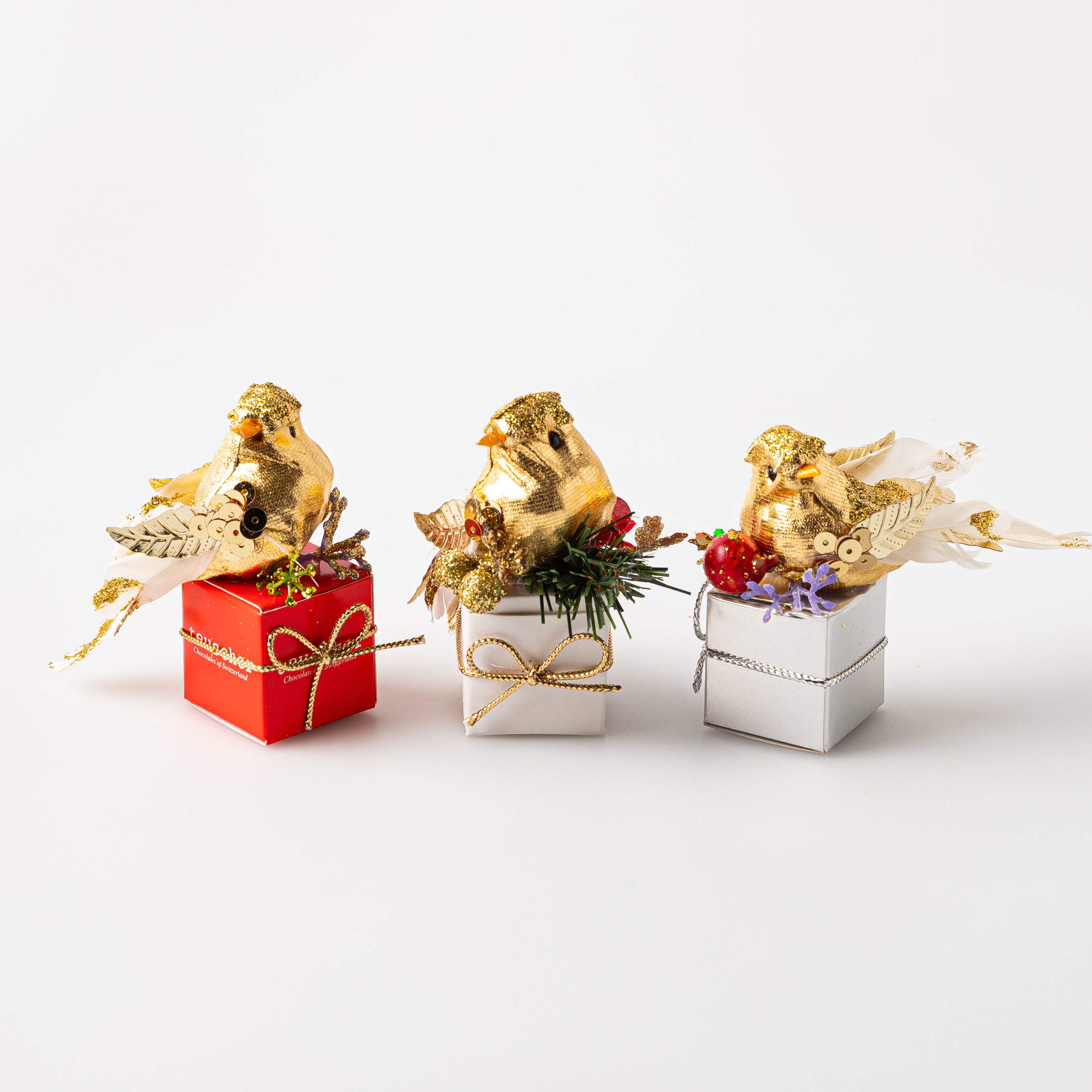 Bird Fantasy Box (1 Truffle)