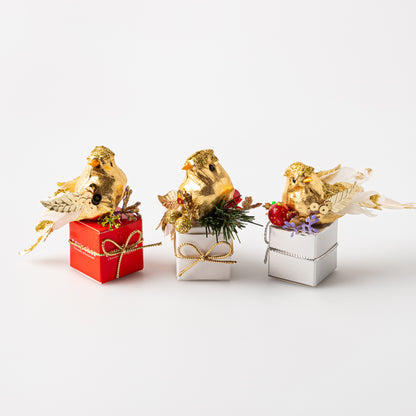 Bird Fantasy Box (1 Truffle)