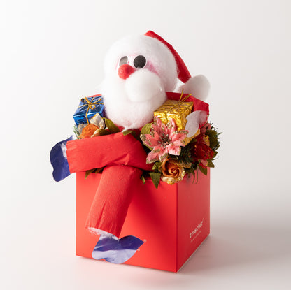 Santa Fantasy Box